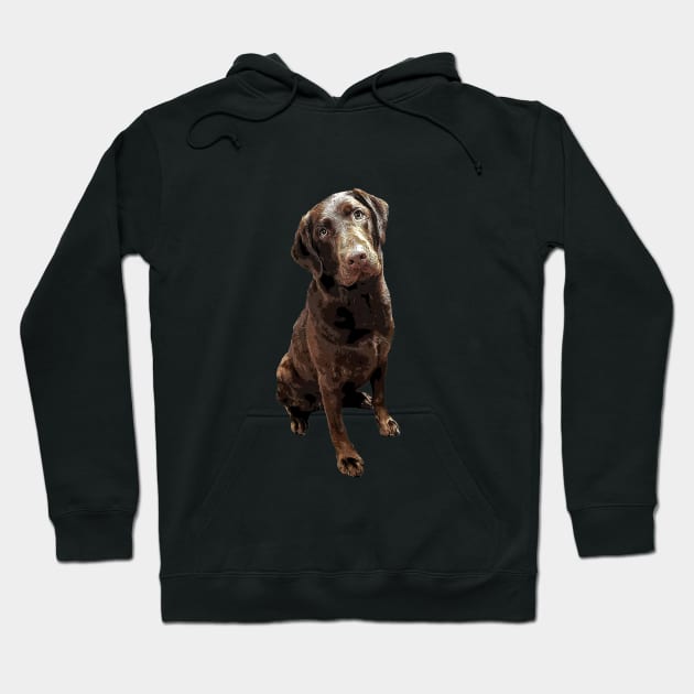 Labrador Chocolate Lab Hoodie by ElegantCat